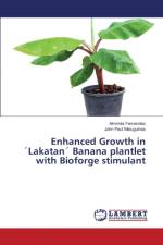 Enhanced Growth in Lakatan Banana plantlet with Bioforge stimulant af Fernandez Alminda