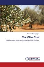 Olive Tree af Papageorgiou Zacharias