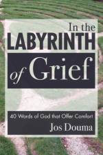 In the Labyrinth of Grief af Jos Douma