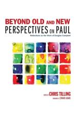 Beyond Old and New Perspectives on Paul