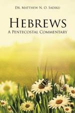 Hebrews af Dr Matthew N O Sadiku