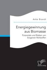 Energiegewinnung aus Biomasse. Potenziale und Risiken von biogenen Rohstoffen af Anke Brandt