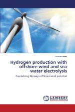 Hydrogen production with offshore wind and sea water electrolysis af Meier Konrad