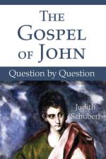 The Gospel of John af Judith Rsm Schubert