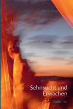 Sehnsucht und Erwachen af Mario Stenz