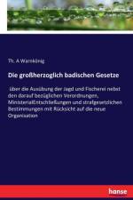 grossherzoglich badischen Gesetze af Th a Warnkoenig