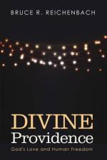 Divine Providence af Bruce R Reichenbach