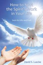 How to Spot the Spirit's Work in Your Life af David Luecke