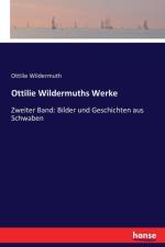 Ottilie Wildermuths Werke