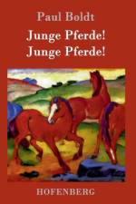 Junge Pferde! Junge Pferde!
