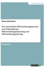menschliche Wahrnehmungsprozess und Schizophrenie. Wahrnehmungstauschung und Wahrnehmungsstoerung af Miriam Walchshäusl