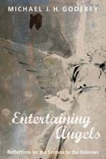 Entertaining Angels af Michael J H Godfrey