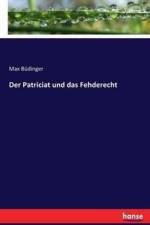 Patriciat und das Fehderecht af Max Budinger