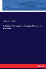 Beitrage zur Erklarung der mehrlautigen Bildungen im Arabischen af Siegmund Fränkel
