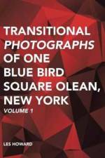 Transitional Photographs of One Blue Bird Square Olean, New York af Les Howard