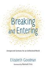 Breaking and Entering af Elizabeth Goodman