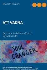 Att vakna af Thomas Romlin