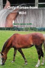 Only Horses from Wild af David James Smith