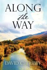 Along the Way af David Tribby