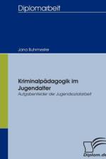 Kriminalpadagogik im Jugendalter - Aufgabenfelder der Jugendsozialarbeit af Jana Buhrmester