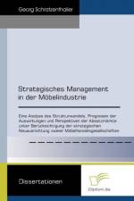 Strategisches Management in der Moebelindustrie af Georg Schratzenthaller