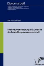 Sozialraumorientierung als Ansatz in der Entwicklungszusammenarbeit af Eike Poeppelmeier