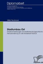 Stadtumbau Ost af Ulrike Neubauer