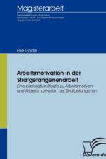 Arbeitsmotivation in der Strafgefangenenarbeit af Elke Goder