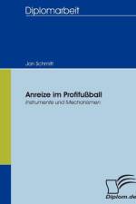 Anreize im Profifussball af Jan Schmitt