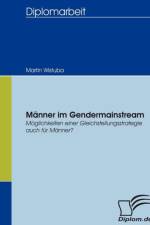 Manner im Gendermainstream af Martin Wistuba