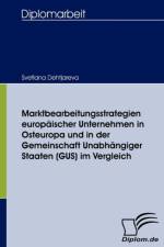 Marktbearbeitungsstrategien europaischer Unternehmen in Osteuropa und in der Gemeinschaft Unabhangiger Staaten (GUS) im Vergleich af Svetlana Dehtjareva