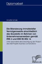 Bilanzierung immaterieller Vermoegenswerte einschliesslich des Goodwills im Rahmen von Unternehmenserwerben gemass IFRS 3 und IDW RS HFA 16 af Annette Schule