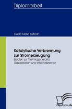 Katalytische Verbrennung zur Stromerzeugung af Ewald Maria Sutterlin