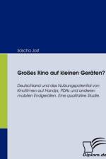 Grosses Kino auf kleinen Geraten? af Sascha Jost