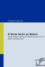 El Tercer Sector en Mexico af Christian Fastenrath