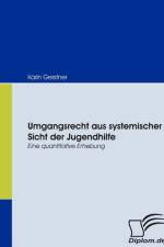 Umgangsrecht aus systemischer Sicht der Jugendhilfe af Karin Gerstner
