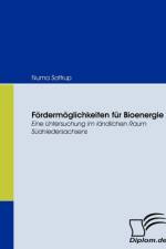 Foerdermoeglichkeiten fur Bioenergie af Numa Sattrup