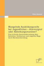 Mangelnde Ausbildungsreife bei Jugendlichen - Alarmsignal oder Ablenkungsmanoever? af Petra Hammel