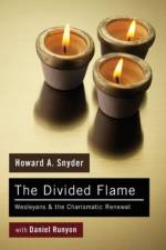 The Divided Flame af Howard A Snyder