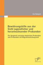 Bewahrungshilfe aus der Sicht jugendlicher und heranwachsender Probanden af Eva Kutajova