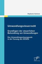 Umwandlungssteuerrecht af Stephanie Salomon