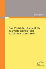Recht der Jugendhilfe aus verfassungs- und sozialrechtlicher Sicht af Gerhard Benz