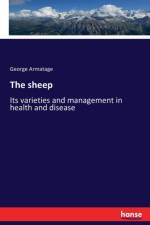 sheep af George Armatage