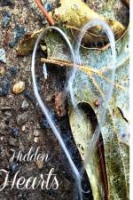 Hidden Hearts af Becki Madsen