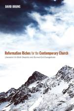 Reformation Riches for the Contemporary Church af David Bruins