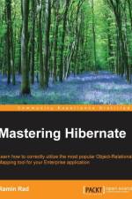 Mastering Hibernate af Ramin Rad