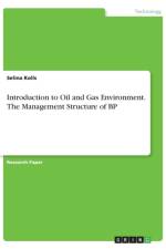 Introduction to Oil and Gas Environment. The Management Structure of BP af Selina Kolls