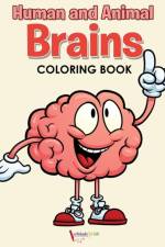 Human and Animal Brains Coloring Book af Activibooks For Kids
