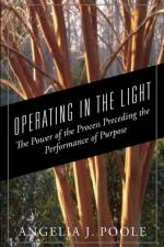 Operating in the Light af Angelia J Poole