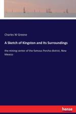 Sketch of Kingston and Its Surroundings af Charles W Greene